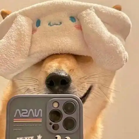 头像动物沙雕可爱搞笑图片