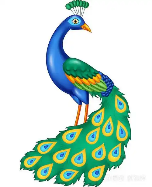 卡通美丽孔雀的矢量插画