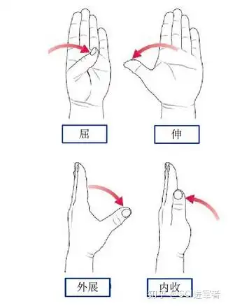 手指fe和aa运动区分