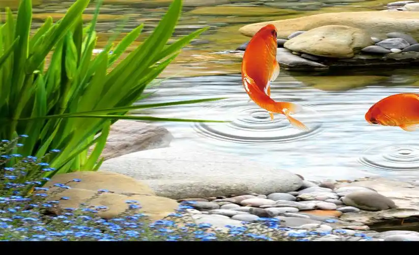 花鸟竹林小溪九鱼图山水风景玄关装饰画