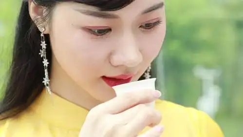 百家说茶乘风破浪的茶铺大姐莫倩倩