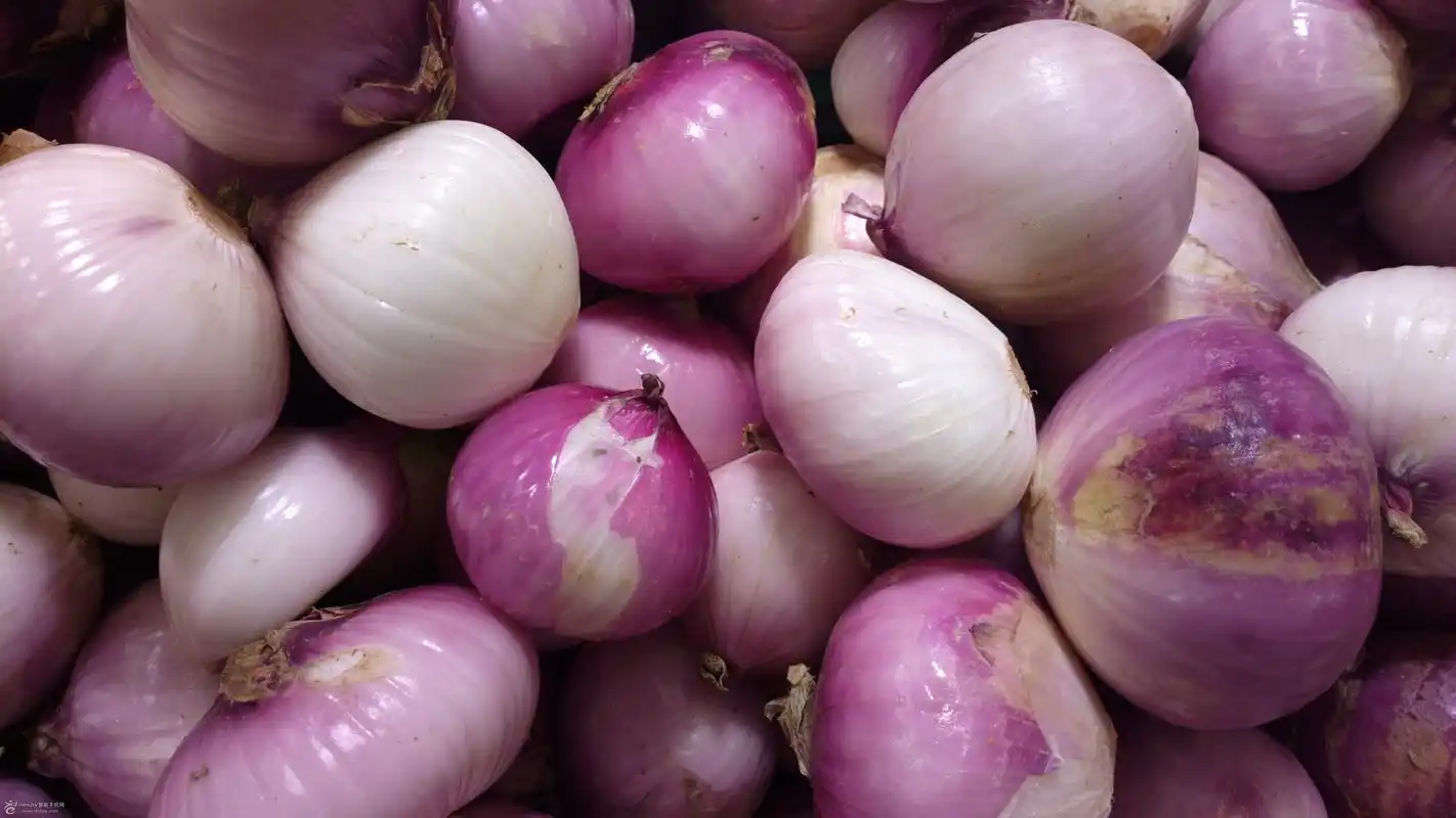 洋葱的好处,你们知道吗?它可是养生高手的最爱!