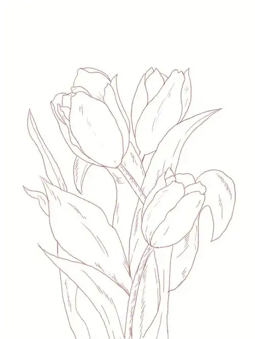原作者:@乐乙李第一次画完整张画,感觉还不错#郁金香  #水彩  #自学