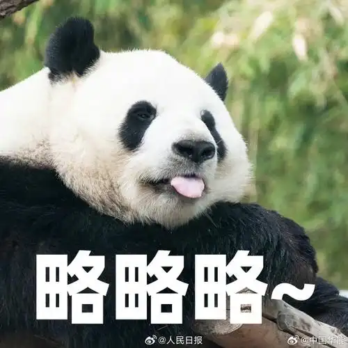 今天是这三小只的生日##萌兰和花和叶表情包九宫格##萌兰9岁生日快乐