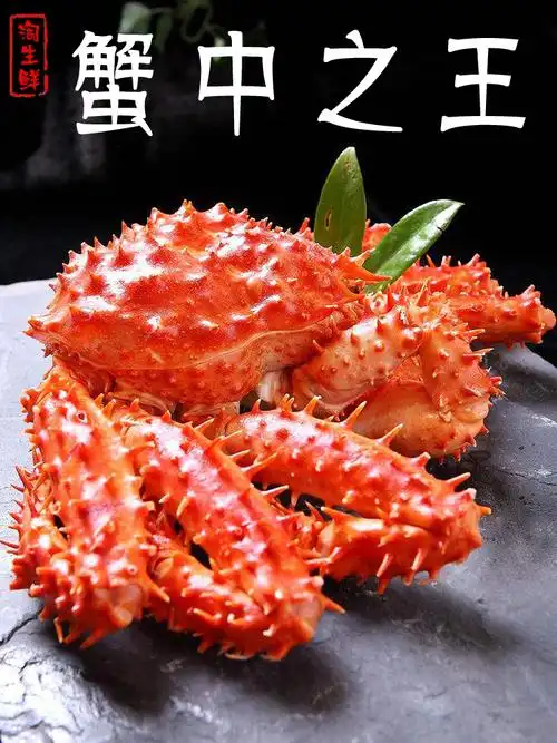 熟冻帝王蟹智利海鲜鲜活海螃蟹皇帝蟹长脚蟹3斤左右一只省会包邮