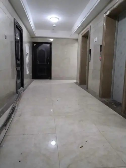电梯口走廊挺宽敞的,后期搬家具没的一点问题,就是公摊面积有点大