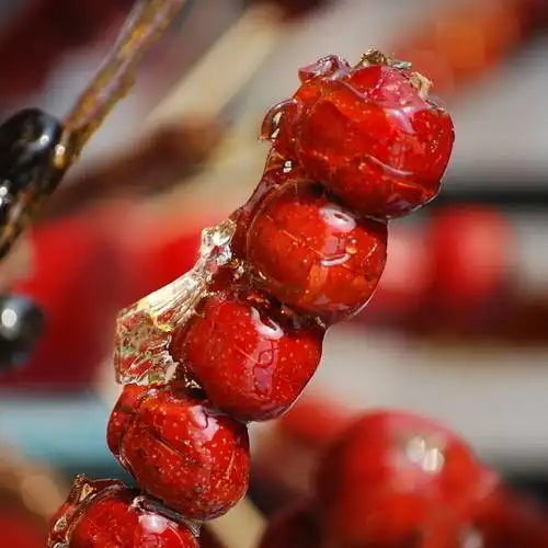 冰糖葫芦山楂 邑人天宝新鲜山楂 新鲜鲜果山楂