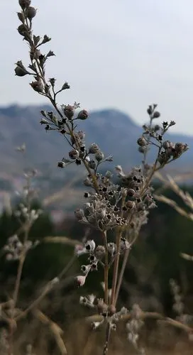 自由于心,草野无界