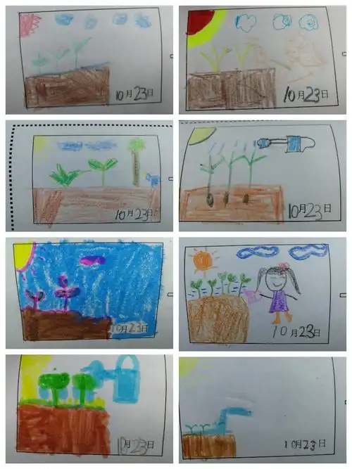 播撒希望的种子——一年级十二班植物探究之旅