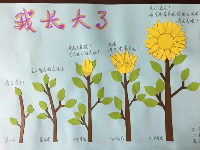 种子旅行微记录