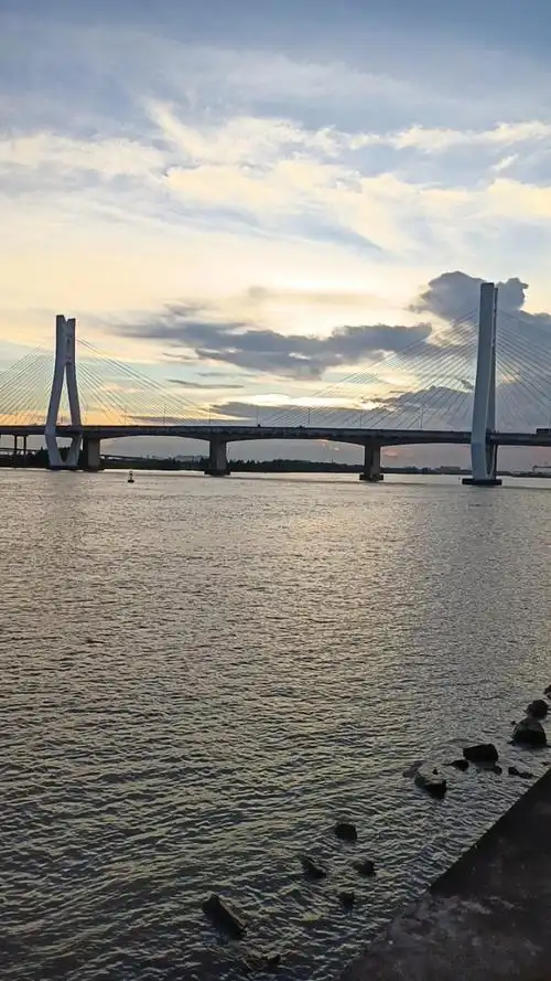 夜幕下的中山港大桥