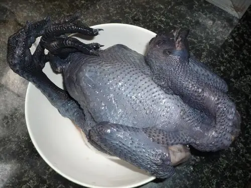 (火枫食尚之旅)紫河车炖乌鸡照片