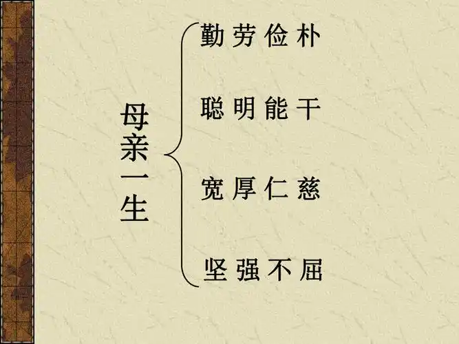 回忆我的母亲板书_第3页