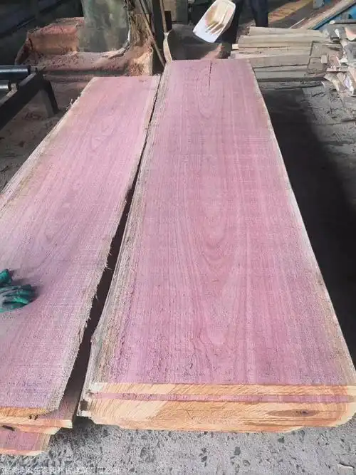 红椿进口红椿原木现货供应欢迎选购