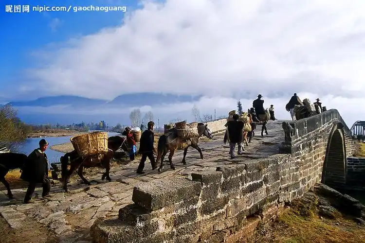 魅力云南之茶马古道