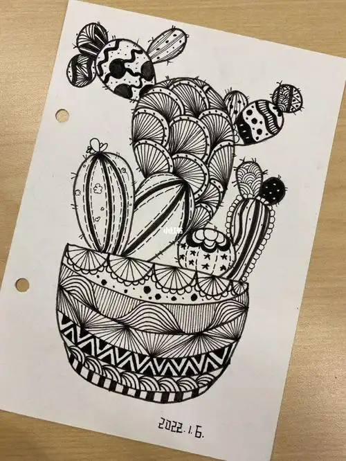 黑白简体画针管笔手绘仙人掌