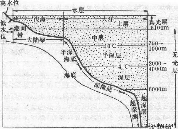 海洋生态系统 - 生物学百科