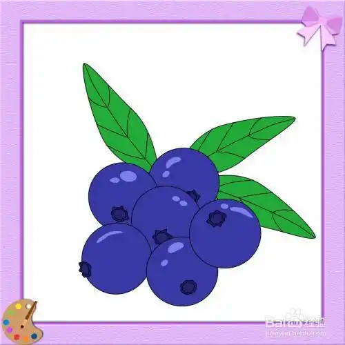 蓝莓简笔画幼儿园