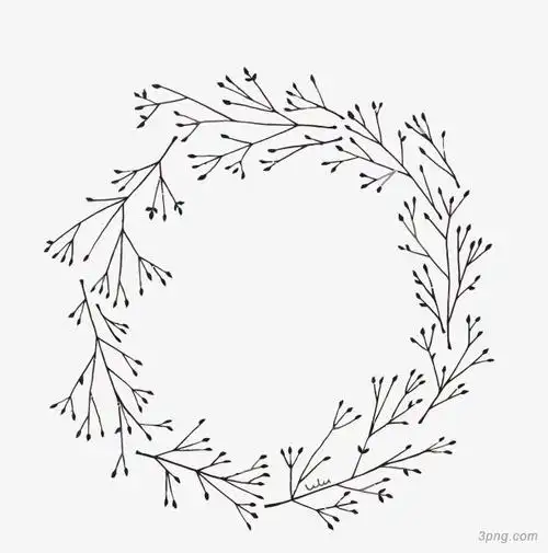 小清新树枝边框png素材透明免抠图片-动植人物