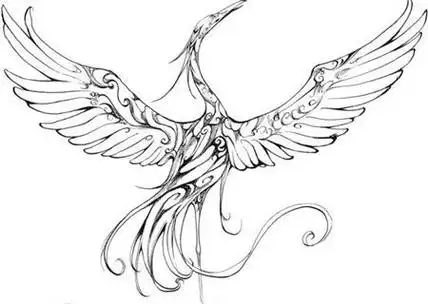 朱雀简笔画 朱雀简笔画简单霸气