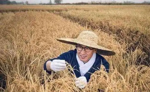 拥有一个很大的农场,一年就能产几十万斤的粮食,这样推算,周杰就拥有