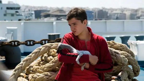 电影推荐:《男孩与鹈鹕》剧情简介,影片评价