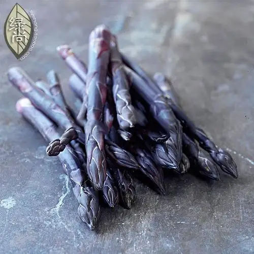 芦笋种子 格兰德芦笋蔬菜之王 atlas原装进口 耐热蔬菜种子 降压