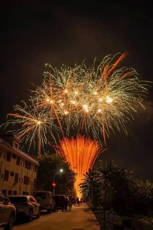 嗨森课堂:拍摄夜景烟花的技巧与方法