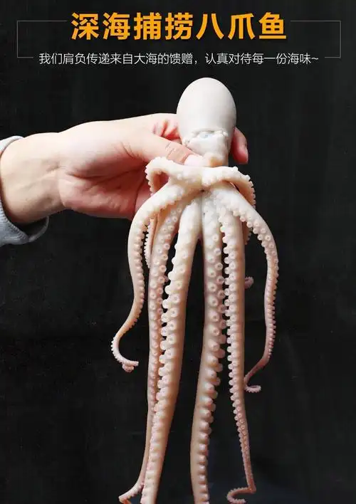 大长腿八爪鱼爆头八爪鱼超大八爪鱼八爪鱼爆头长腿八爪鱼长腿八爪鱼