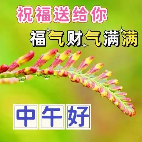 中午好图片大全,午安表情包,中午好祝福问候图片,午安顺心