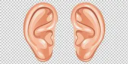 耳朵,马免费可商用迪士尼义工组织的耳朵卡通女孩人物兔子耳朵出现从