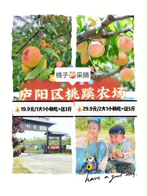 合肥周边游庐阳区三十岗桃蹊农场摘