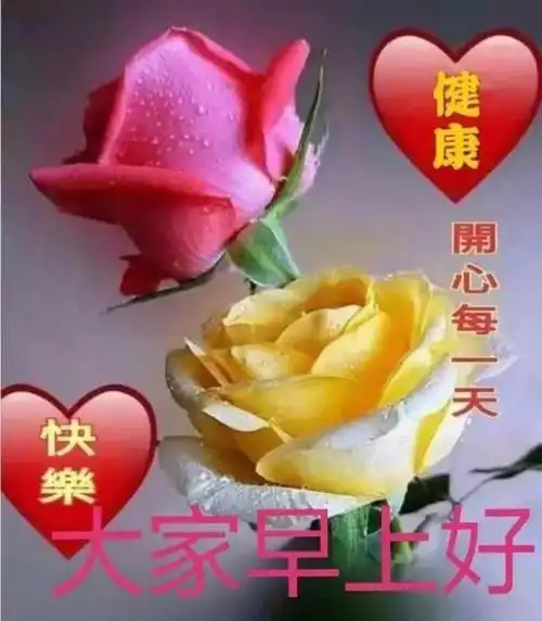 早上好免打字图片带祝福语免打字温馨的夏天大家早上好问候语图片精选