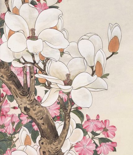 近代于非闇玉堂富贵立轴牡丹白玉白玉兰兰花草临摹工笔画国画