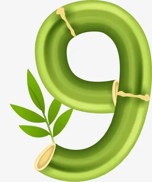 绿色竹子卡通数字9