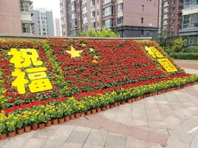 中建物业鲜花祝福祖国盛装迎接国庆