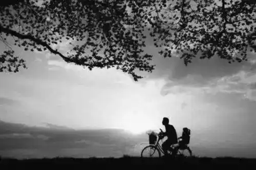 父亲的背影是一副黑白色的画面