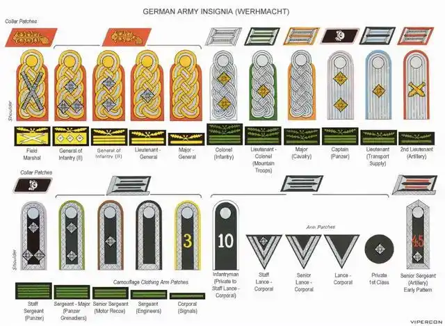 大将(65人)(陆军38人,海军11人,空军12人;党卫队全国总指挥4人)元帅
