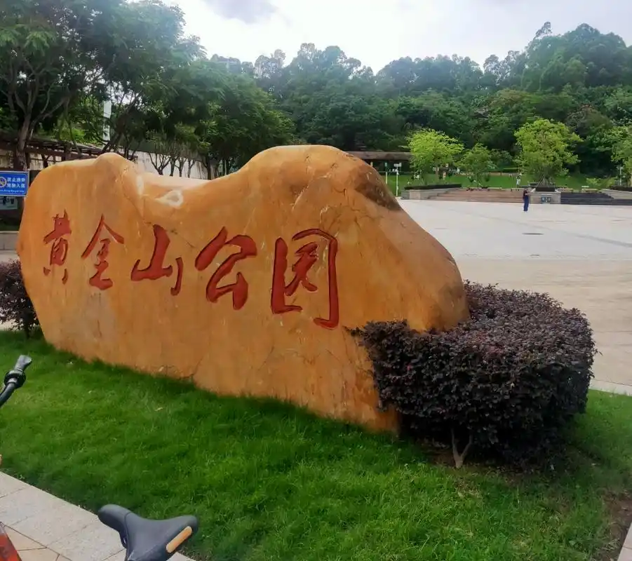 坂田黄金山烂尾楼终于拆了,网友:实在太可惜了_手机搜狐网