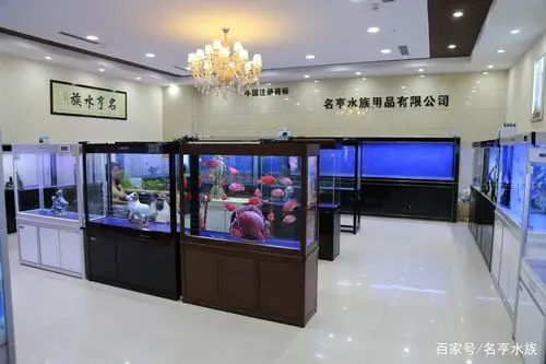 鱼缸- 热门厂家专区