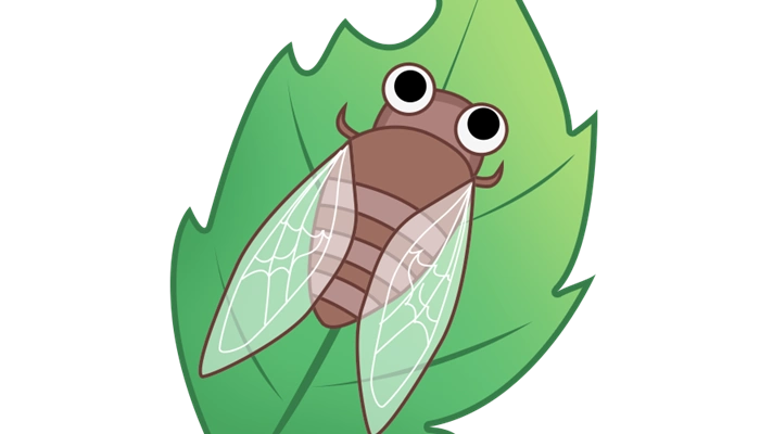 知了吃什么知了喝什么长大