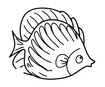 海洋生物 水母,图片,简笔画-学笔画