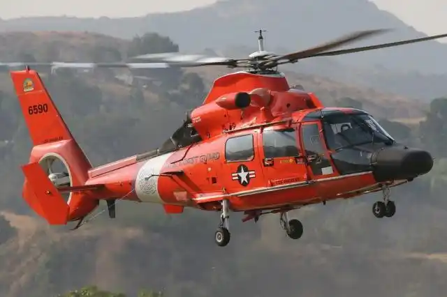 hh-65海豚直升机(网络配图)