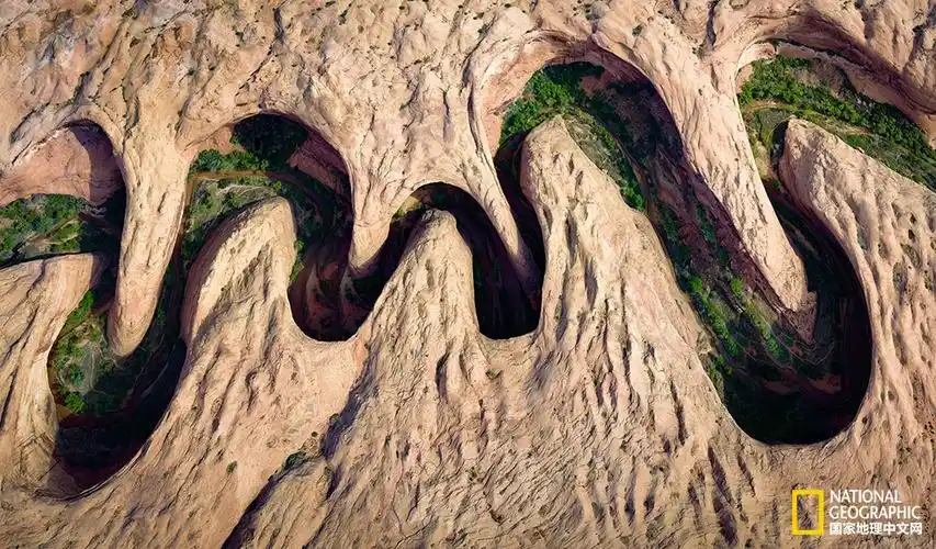 每日一图:弯弯绕绕