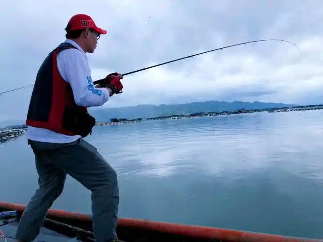 海钓新手必看干货!