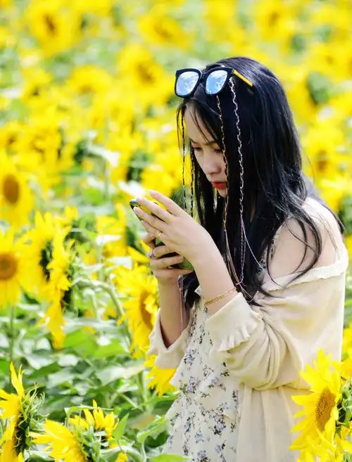 美女们徜徉花海中