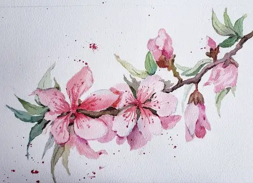 其它 2021年水彩涂鸦(更新中) 写美篇网课学画小植物