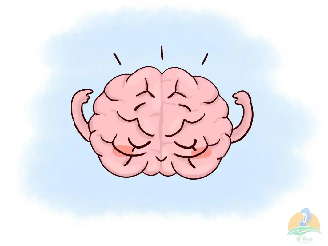 哈佛研究:儿童的大脑发育高峰仅有3次,错过将影响孩子一生