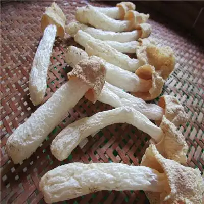 招商 四川农产品 特产 食用菌 无硫熏竹荪