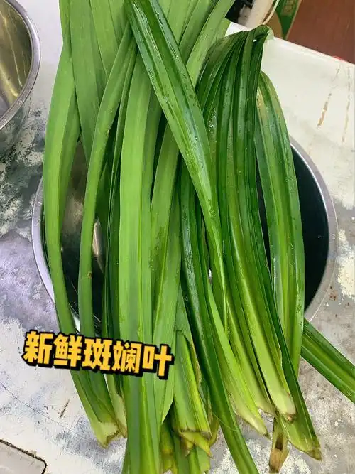 nice~~斑斓冻的超详细做法